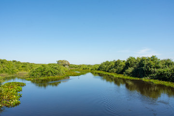 Fototapeta premium Vista da natureza com lago natural em meio ao verde da paisagem
