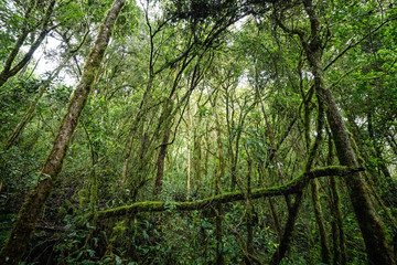 La Chorrera_ Choachí - Cundinamarca_Turismo Rural
