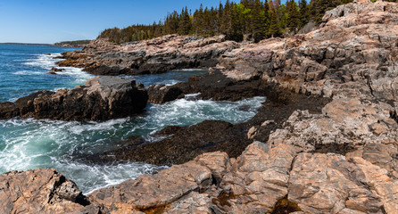 Fototapeta na wymiar Acadia National Park in Maine 