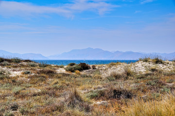 Coast of the sea, Kos Island Greece