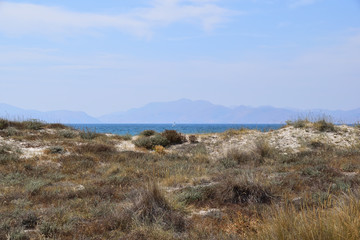 Fototapeta na wymiar Coast of the sea, Kos Island Greece