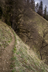 step hill in georgian mountain