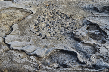 Lava Tidal Erosion Pattern in Galapagos Islands Ecuador