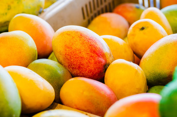 The mango is a citrus fruit that grows in the Intertropical Zone and is fleshy and sweet pulp. It stands out among its main characteristics its good taste and variety.