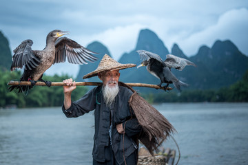 Cormorant fisherman in Traditional showing of his birds on Li river near Xingping, Guangxi province, China.
