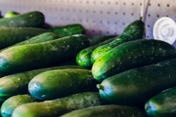 cucumbers on retail sale in supermarket shelf with beautiful flashes of natural lights