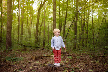 Little boy playing on wooden stump during stroll in the forest at spring, summer or autumn day.