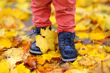 Close up photo of child legs in boots on background of a golden maple leaves.
