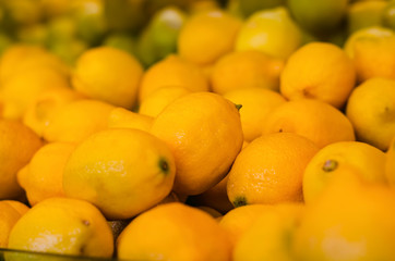 Fruit, Edible, Taste, Acid, Fragrant, Uses, Feeding, Citrus medica, Citrus aurantifolia, Perennial, Thorns, Gestation, Growing, Green, Yellow, White, Orange, Flower, Petals, Seeds, Asia, Tropical, sub