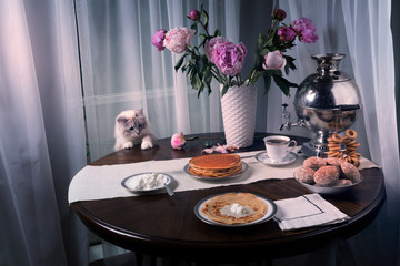 Russian Siberian cat wants on the table for sour cream. Breakfast is ready on the table: pancakes, hot tea