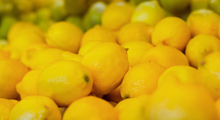 Fruit, Edible, Taste, Acid, Fragrant, Uses, Feeding, Citrus medica, Citrus aurantifolia, Perennial,...