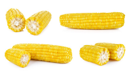 Corn on the cob kernels isolated Clipping Path