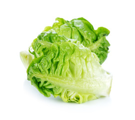 Fresh cos lettuce on white background