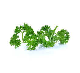 parsley isolated on white background