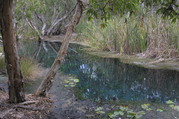 Landscape view of Bitter Springs near Mataranka in the Northern Territory, Australia