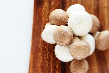 Freshness white and brown mushroom