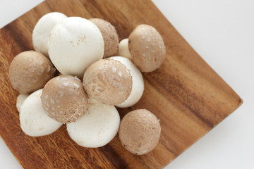 Freshness white and brown mushroom