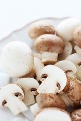 Freshness white and brown mushroom