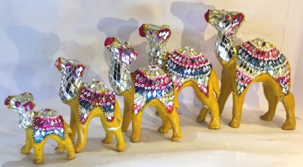 decorated camels