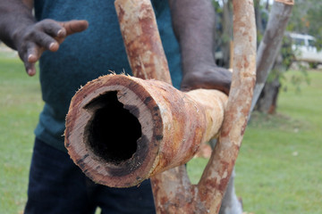 Aboriginal didgeridoo craftsman making Didgeridoo