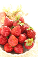 Freshness strawberry in bowl with copy space