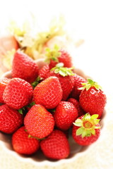 Freshness strawberry in bowl with copy space