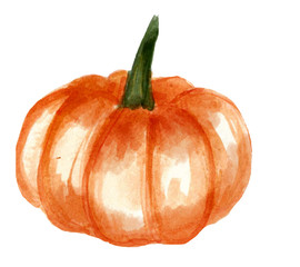 watercolor illustration of  a pumpkin