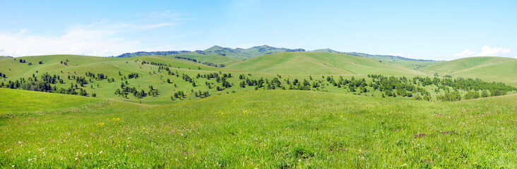 Beautiful hilly panoramic summer landscape with green grassy hills covered with trees in a sunny day