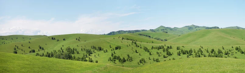 Fotobehang Blauwe hemel Prachtig heuvelachtig panoramisch zomerlandschap met groene, met gras begroeide heuvels op een zonnige dag  © Alex_Po