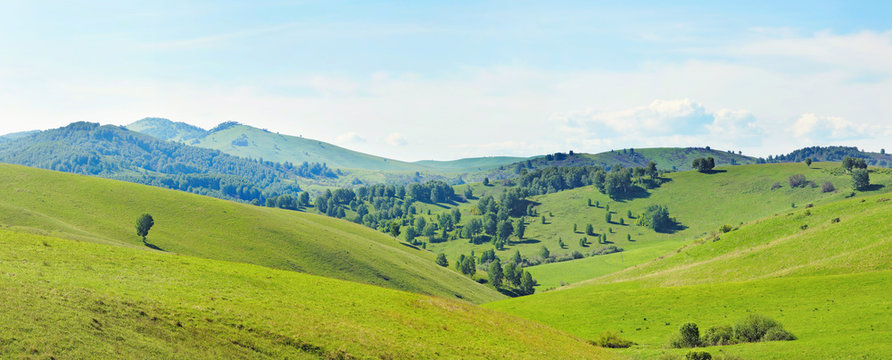 Beautiful hilly panoramic landscape with green grassy hills in a sunny summer day