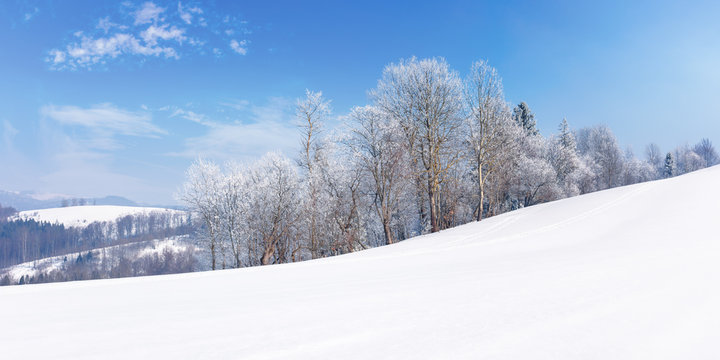panorama of a beautiful winter landscape. forest on the edge of a snow covered meadow. trees in hoarfrost on the slope. wonderful frosty sunny weather with clouds