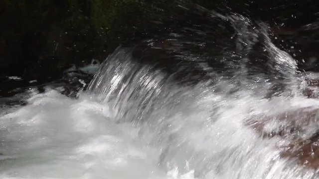 Closeup Of Sockeye (Red) Salmon Jumping Up The Fish Ladder Or Waterfall Of The Fish Weir At Bear Creek In Alaska; Fish Weir Helps To Manage Salmon Population In Cook Inlet Region