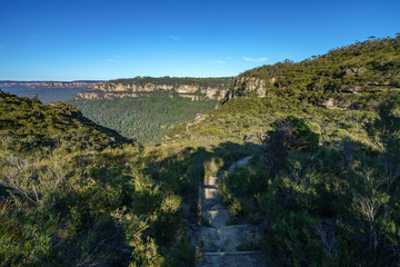 Fototapeta na wymiar hiking the grand clifftop walk, blue mountains, australia 1