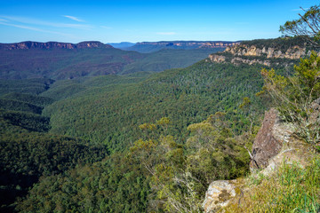Fototapeta premium hiking to gordon falls lookout, blue mountains, australia 7