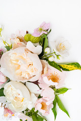 summer flowers on the white background