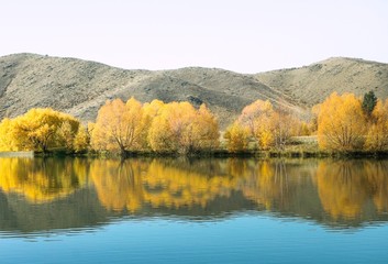 autumn landscape with lake and trees