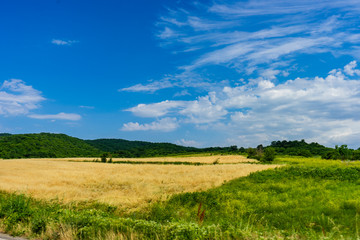 Summertime in kakheri area