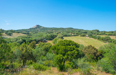 Fototapeta na wymiar Scenic landscape of green hills and rocky mountains of the island of Sardinia in spring