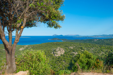 Rocky coast of the island of Sardinia in the Mediterranean Sea in sunlight in spring