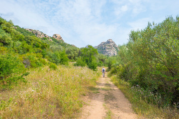 Scenic landscape of green hills and rocky mountains of the island of Sardinia in spring