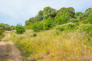 Scenic landscape of green hills and rocky mountains of the island of Sardinia in spring