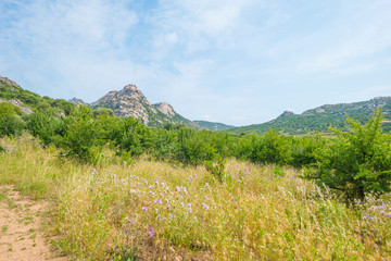 Scenic landscape of green hills and rocky mountains of the island of Sardinia in spring