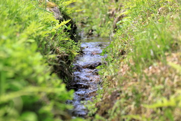Water stream for rice field in Japan