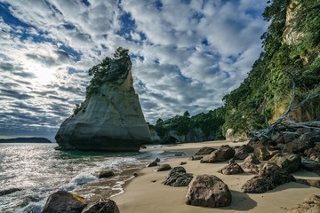 sandstone rock monolith,cathedral cove,coromandel,new zealand 16