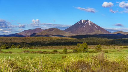 Fototapeta premium cone volcano,mount ngauruhoe,tongariro,new zealand 30
