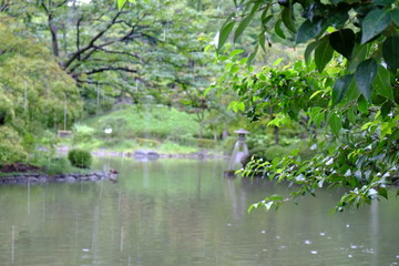 公園