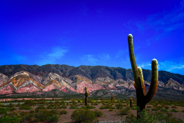 A beautiful view of Los Cardones National Park, Salta, Argentina