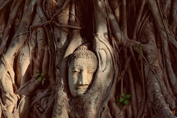 ayutthaya, thailand,mahathat temple 