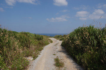 南国沖縄の田舎の海へ続く道