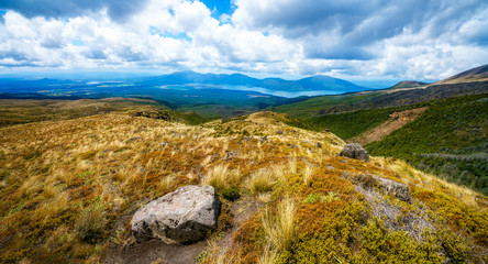 hiking the tongariro alpine crossing,grass on volcano,new zealand 9